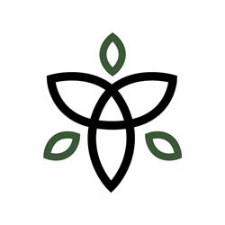 Tree - Colavoro, Formazione e Lavoro