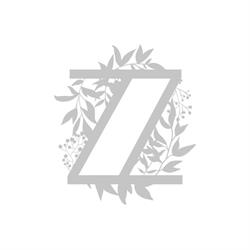 Fiori Zanchi di Zanchi Francesca