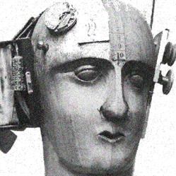 Istituto di Scienze e Tecnologie della Cognizione - CNR