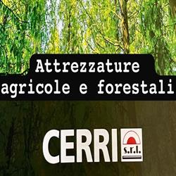 Cerri s.r.l.