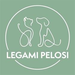 Legami Pelosi