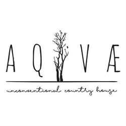 AQVAE Unconventional Country House