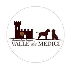 Lagotto Romagnolo Valle dei Medici