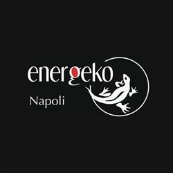 Energeko Veicoli Elettrici Napoli