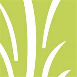 Green Service Srl