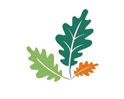 Fondo Forestale Italiano ETS