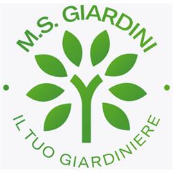 Ms Giardini