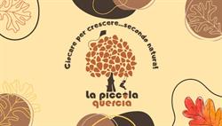 La Piccola Quercia