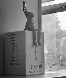 Confortplus s.r.l.