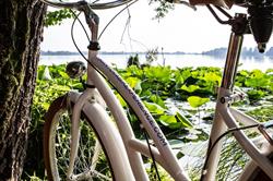 Mantovabikexperience