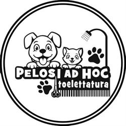 Pelosi ad hoc