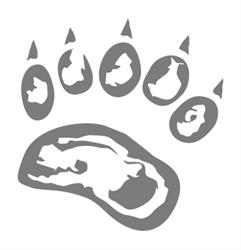 Segnidartos