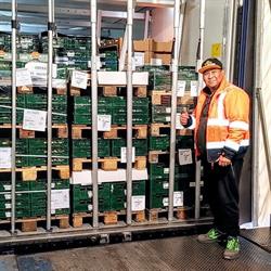 Tradefresh Italia Srl