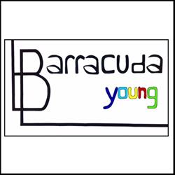 Barracuda young