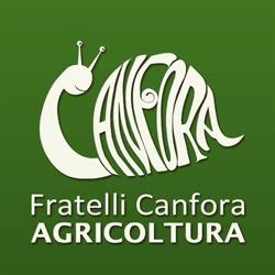 Fratelli Canfora AGRICOLTURA