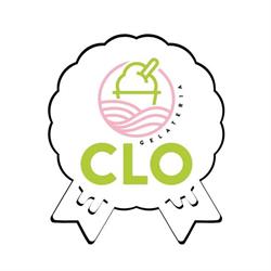 Gelateria CLO " Il Gelato di una Volta"