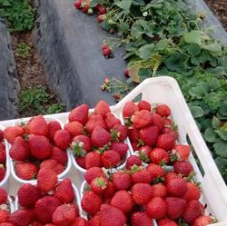 Azienda Agricola Lucia