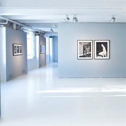 Fondazione Sozzani