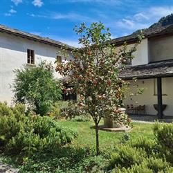 Biblioteca di Chiavenna