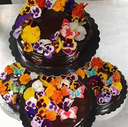 Il Capriccio Bar Pasticceria Artigianale