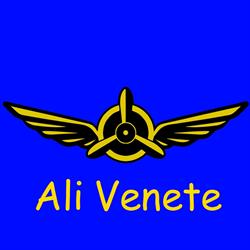 Ali Venete club