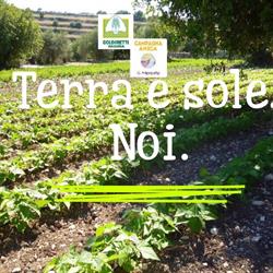 Mercato Campagna Amica