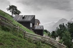 Chalet La Pedevilla
