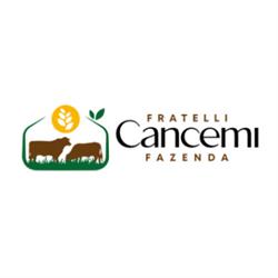 Azienda agricola e trasporti Cancemi