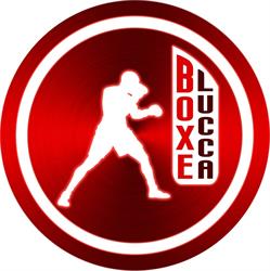BOXE LUCCA