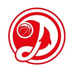 Basket Dolo Dolphins