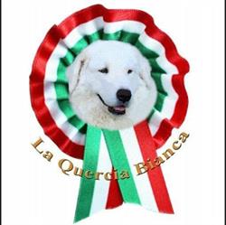 Allevamento La Quercia Bianca