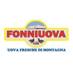 Fonniuova di Nonne