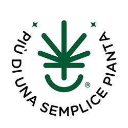 Canapa Farm Società Agricola S.r.l.s. Rome Saint Lawrence