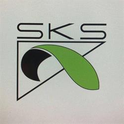 Senigallia Kitesurfing