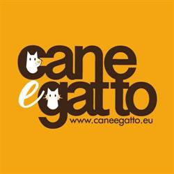 Cane e Gatto di Viviani Serena