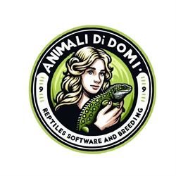 Animali di Domi