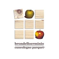 brondelloerminio sas