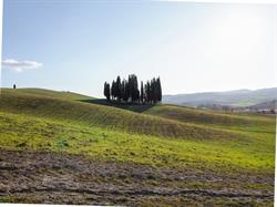 La Tua Casina
