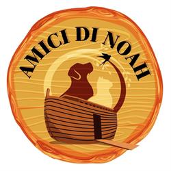 Amicidinoah