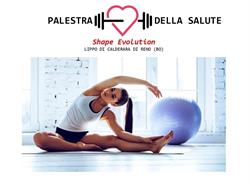 Palestra della Salute Lippo di Calderara - Shape Evolution