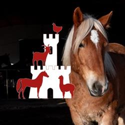 Azienda Agricola Il Borgo di De Re Sabrina
