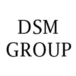 Dsm Group