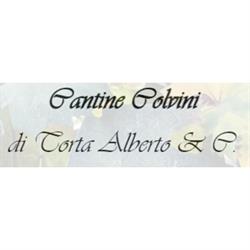 Cantine Colvini - S.a.s. di Torta Alberto & C.