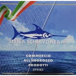 Ittica Schiavonea Ingrosso