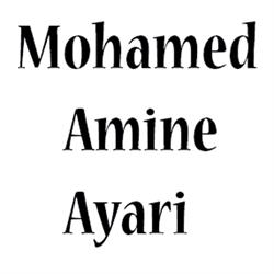 Mohamed Amine Ayari