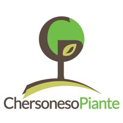 Vivai Chersoneso Piante Produzione di Plumeria e Ornamentali
