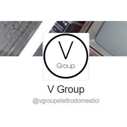 V Group