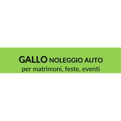Gallo Noleggio Auto per Matrimoni, Feste ed Eventi