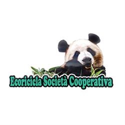 Ecoricicla ricambi auto usati