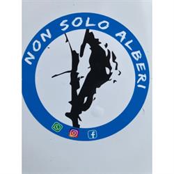 Non solo alberi